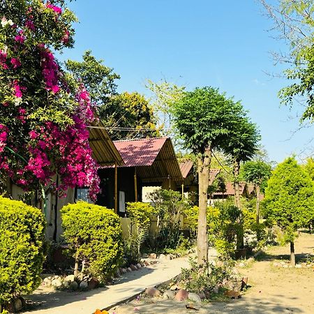 Camp High 5 Jayalgarh Hotel Dāngchura Kültér fotó