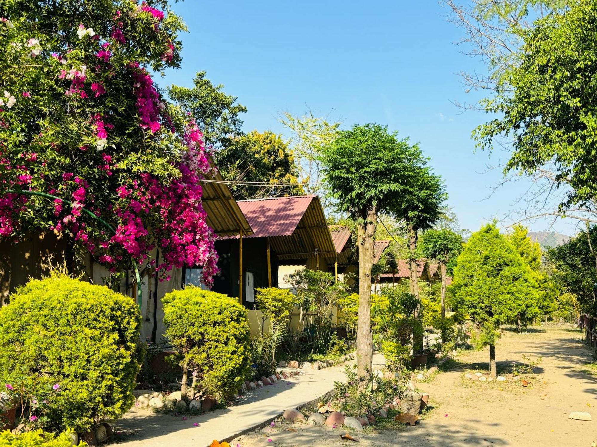 Camp High 5 Jayalgarh Hotel Dāngchura Kültér fotó